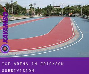 Ice Arena in Erickson Subdivision
