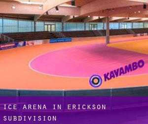 Ice Arena in Erickson Subdivision