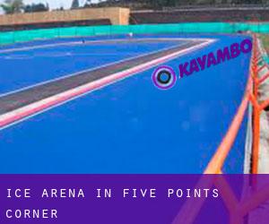 Ice Arena in Five Points Corner