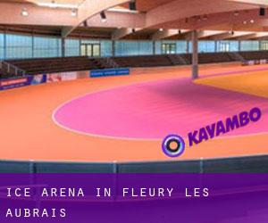 Ice Arena in Fleury-les-Aubrais