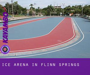 Ice Arena in Flinn Springs