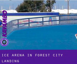 Ice Arena in Forest City Landing