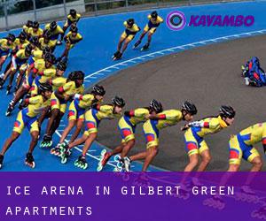 Ice Arena in Gilbert Green Apartments
