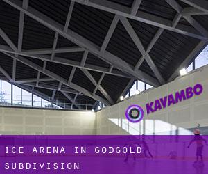 Ice Arena in Godgold Subdivision