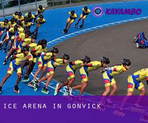 Ice Arena in Gonvick