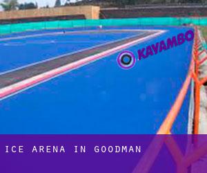 Ice Arena in Goodman