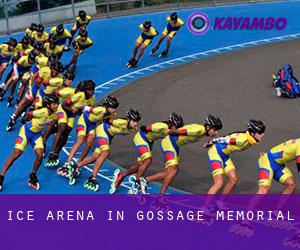 Ice Arena in Gossage Memorial