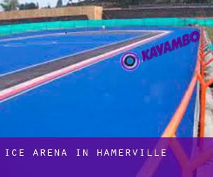 Ice Arena in Hamerville