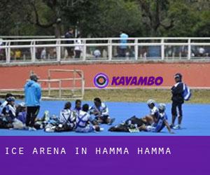 Ice Arena in Hamma Hamma