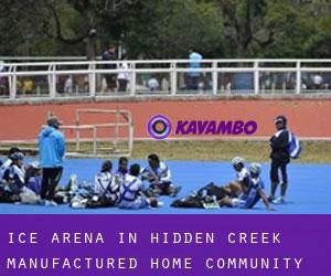 Ice Arena in Hidden Creek Manufactured Home Community