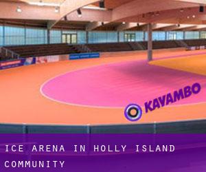 Ice Arena in Holly Island Community