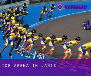 Ice Arena in Janis