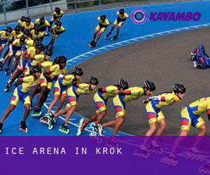 Ice Arena in Krok