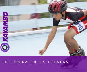 Ice Arena in La Cienega