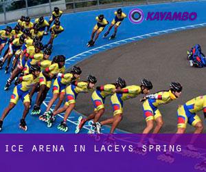 Ice Arena in Laceys Spring