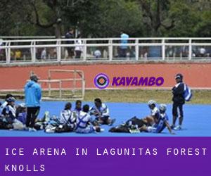 Ice Arena in Lagunitas-Forest Knolls