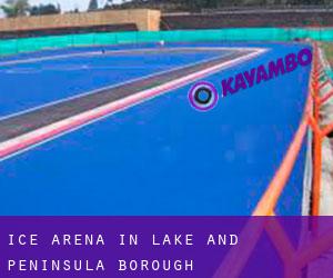 Ice Arena in Lake and Peninsula Borough