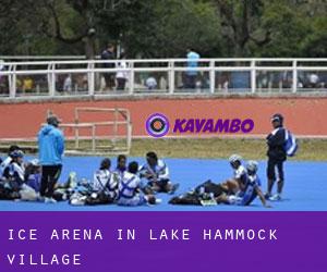 Ice Arena in Lake Hammock Village