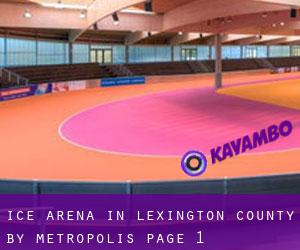 Ice Arena in Lexington County by metropolis - page 1