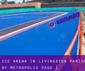 Ice Arena in Livingston Parish by metropolis - page 1