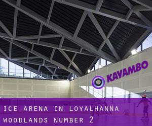 Ice Arena in Loyalhanna Woodlands Number 2