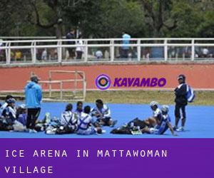 Ice Arena in Mattawoman Village
