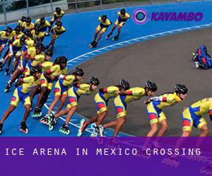 Ice Arena in Mexico Crossing