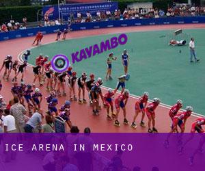 Ice Arena in Mexico