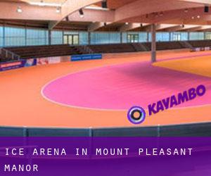 Ice Arena in Mount Pleasant Manor