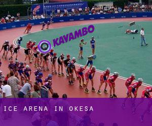 Ice Arena in Okesa