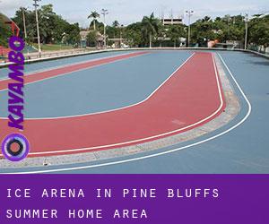 Ice Arena in Pine Bluffs Summer Home Area