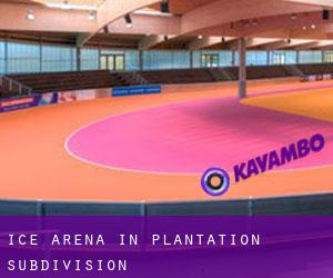Ice Arena in Plantation Subdivision