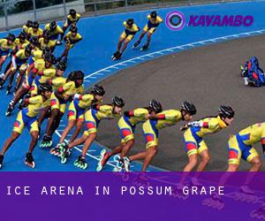 Ice Arena in Possum Grape