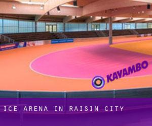 Ice Arena in Raisin City