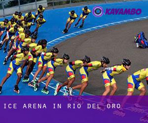 Ice Arena in Rio del Oro