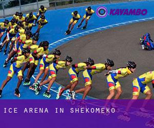 Ice Arena in Shekomeko