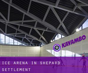 Ice Arena in Shepard Settlement