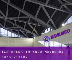 Ice Arena in Snow Mayberry Subdivision
