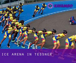 Ice Arena in Tessner