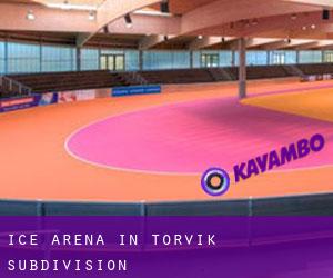 Ice Arena in Torvik Subdivision