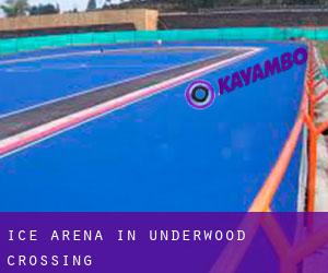 Ice Arena in Underwood Crossing