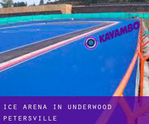 Ice Arena in Underwood-Petersville