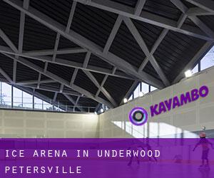 Ice Arena in Underwood-Petersville