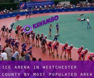 Ice Arena in Westchester County by most populated area - page 5
