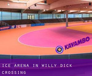 Ice Arena in Willy Dick Crossing