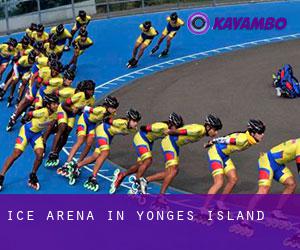 Ice Arena in Yonges Island