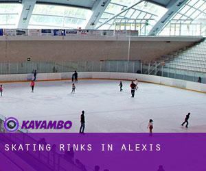 Skating Rinks in Alexis