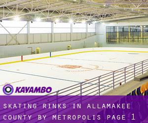 Skating Rinks in Allamakee County by metropolis - page 1