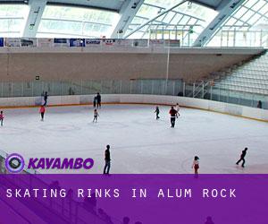 Skating Rinks in Alum Rock