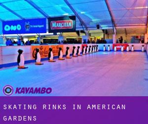 Skating Rinks in American Gardens